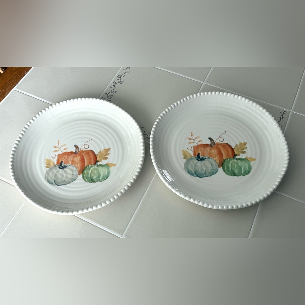Decorative Pumpkin Dinner Plates Set Of Two